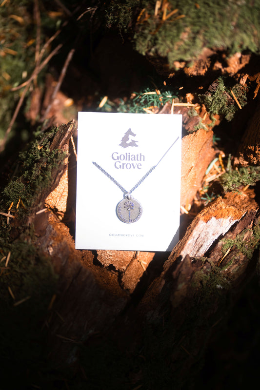 Yellow Meranti Pendant in Sterling Silver